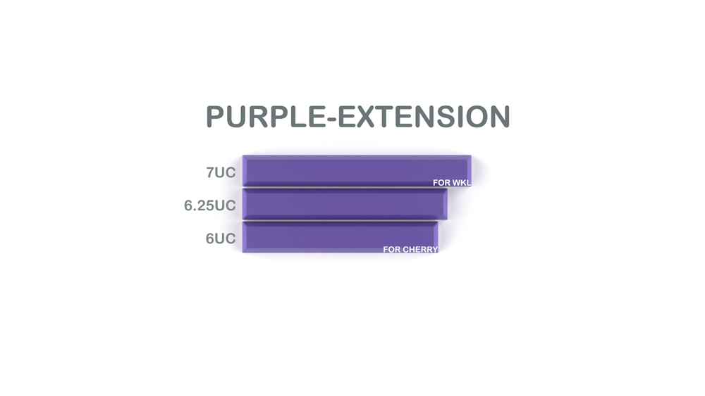 011-CYBERPUNK PUMPER Spacebar Purple Extension