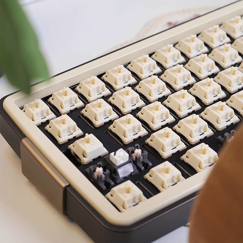ACGAM Kerule Switches - Thumbnail 3
