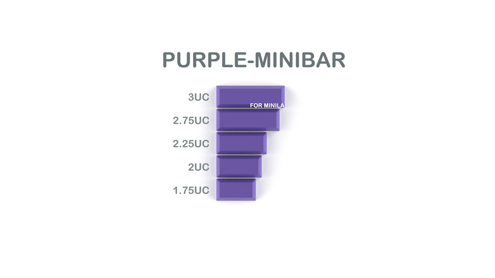 012-CYBERPUNK PUMPER Spacebar Purple Minibar